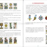 Pulizia ed energizzazione carte Tarocchi Marsiglia: guida completa